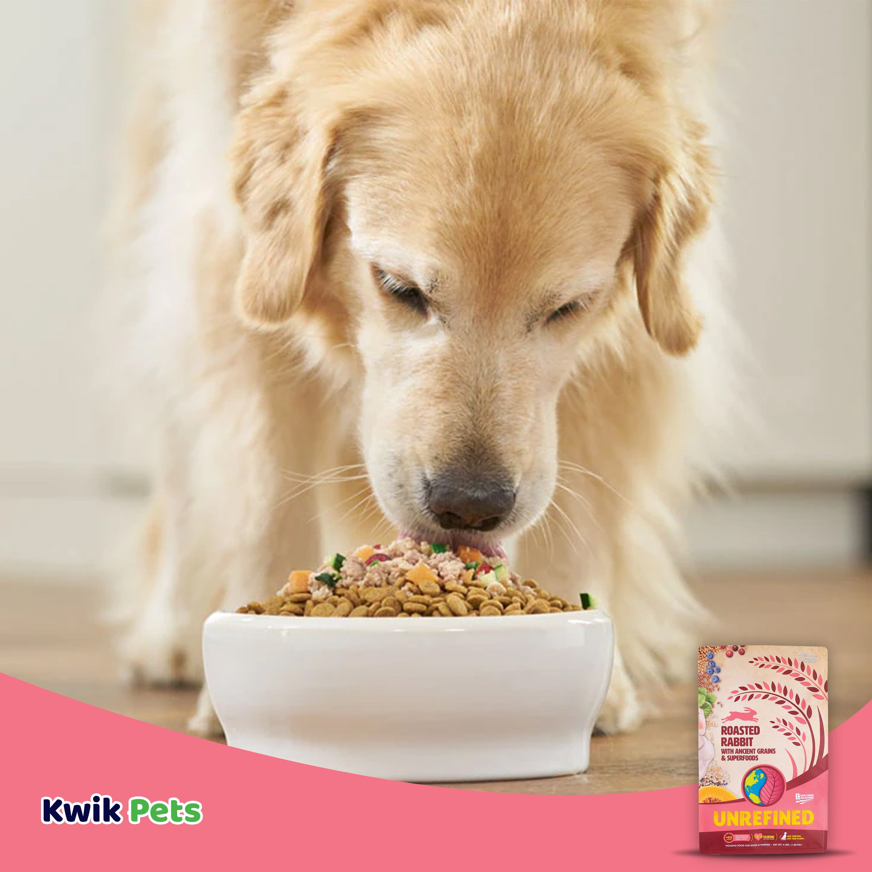 Earthborn Holistic Unrefined Dry Dog Food Roasted Rabbit, 4 lb