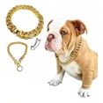 thumbnail image 1 of Collar Para Perro Cadena Cubana Dorada Todas Las Tallas, 1 of 7