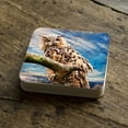 thumbnail image 3 of Nature Wonders 95371C-S4 4 x 4 in. Owl Wooden Cork Coasters Gift - Set of 4, 3 of 4