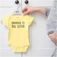 thumbnail image 5 of Promoted Big Sister Expecting Sibling Bodysuit Jumper Girls Infant Baby Brisco Brands 12M, 5 of 6