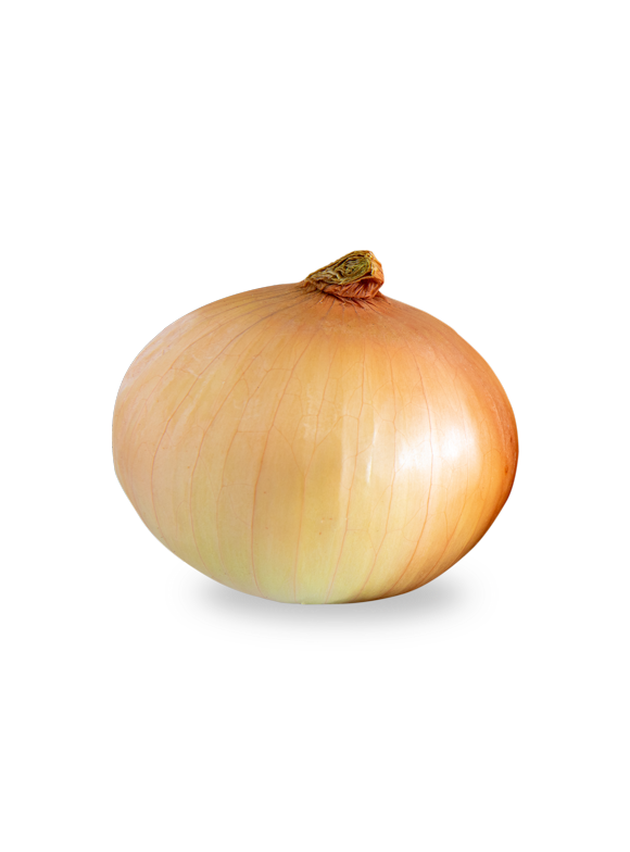 Onions & Leeks in Fresh Vegetables