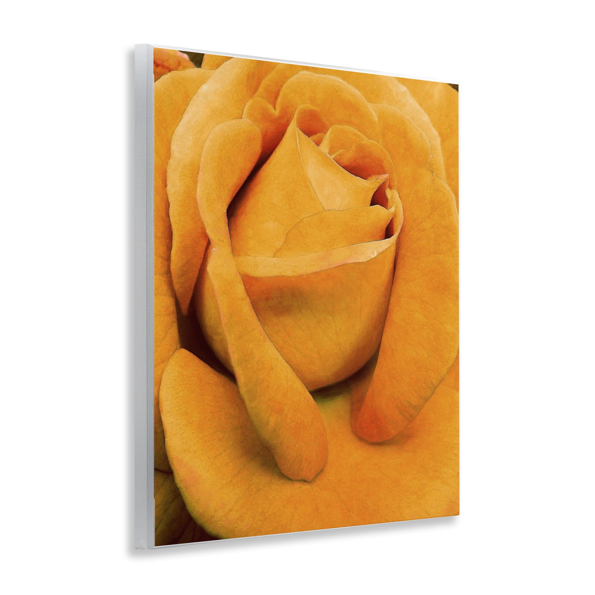 Stupell Industries Yellow Rose Close Up Botanical & Floral Painting Unframed Art Print Wall Art, 11 x 14