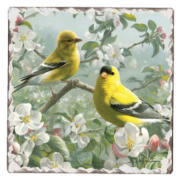 Thirstystone Style 1 Goldfinch Single Tumbled Tile Coaster Create Your Own Set