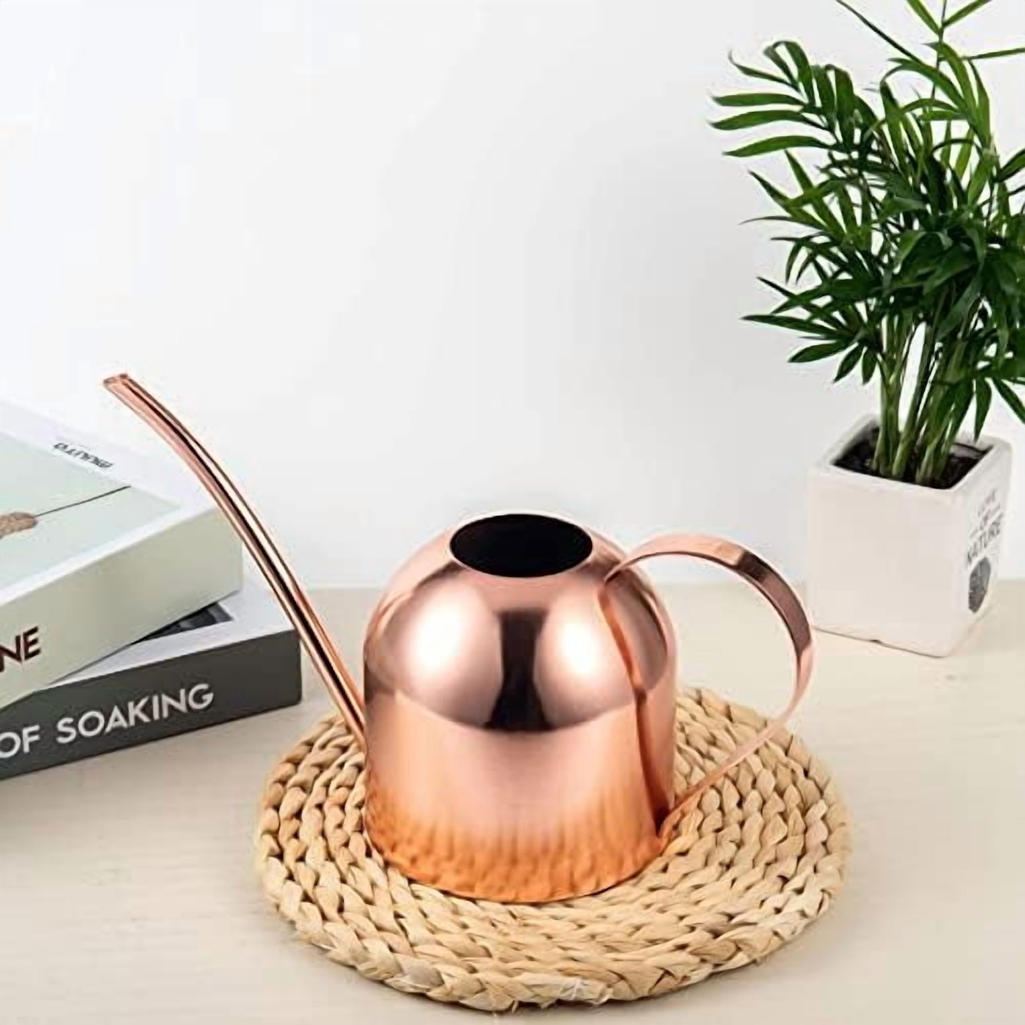 Indoor Watering Can for House Plants 33oz/1L Stainless Steel Watering Can with Long Spout (Rose Gold)