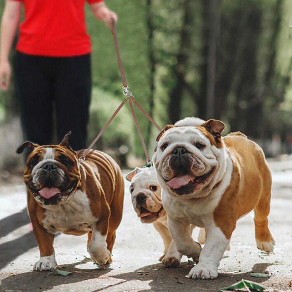 Pet Artist Genuine Leather Triple Dog Leash Couple 3 Way Pet Walking Leashes Brown for 3 Dogs