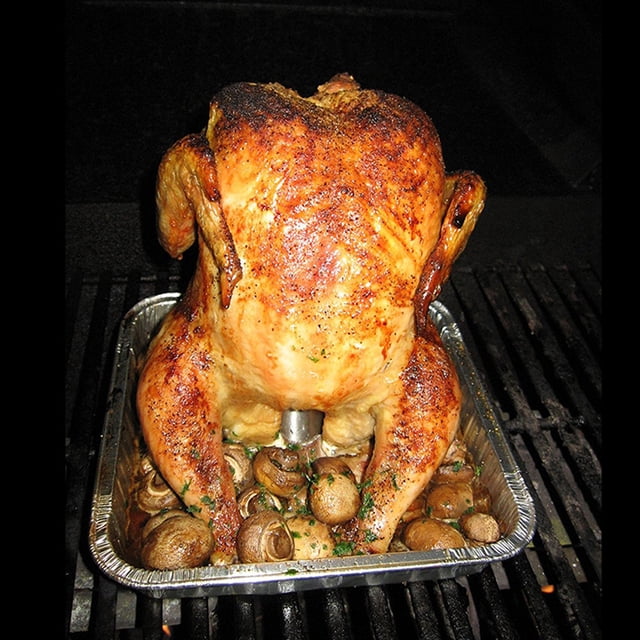 HONITANO Support de Barbecue en Acier Inoxydable Antirouille Rôtissoire à Poulet Outil de Grillade pour Randonnée 1ensemble