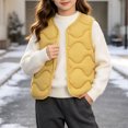 thumbnail image 6 of BLVB Toddler Puffer Vest Boys Girls down Vest Warm Fall Winter Jacket Lightweight Sleeveless Button down Coat for Kids(Yellow,3-4 Years), 6 of 9