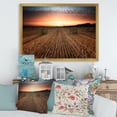 thumbnail image 3 of Designart 'A Field Full of Hay Bales At Sunset Landscape' Farmhouse Framed Art Print, 3 of 4