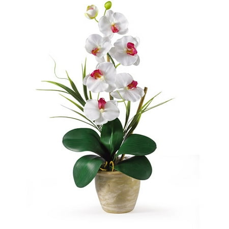 Phalaenopsis Silk Orchid Flower Arrangement, White