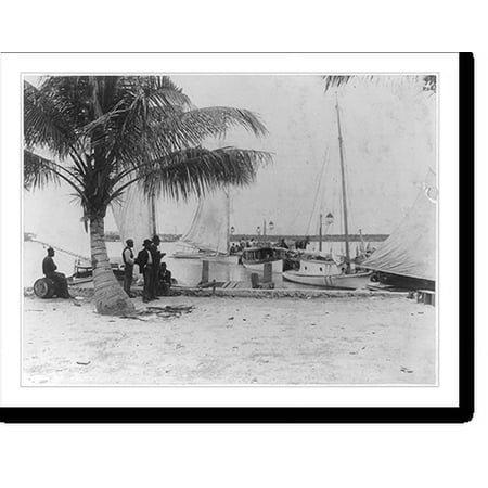 Historic Print, Sailboats and fishing boats at landing, Palm Beach, Florida, 18" x 24"