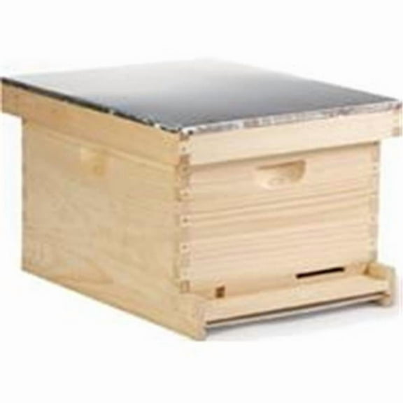 Complete Bee Hive