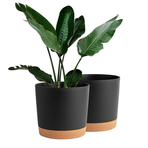 10 inch Plant Pots Indoor 2 Pack Flower Pots for Indoor Plants Pots Planters for Indoor Plants with Drainage Holes and Saucers Pots for Pla