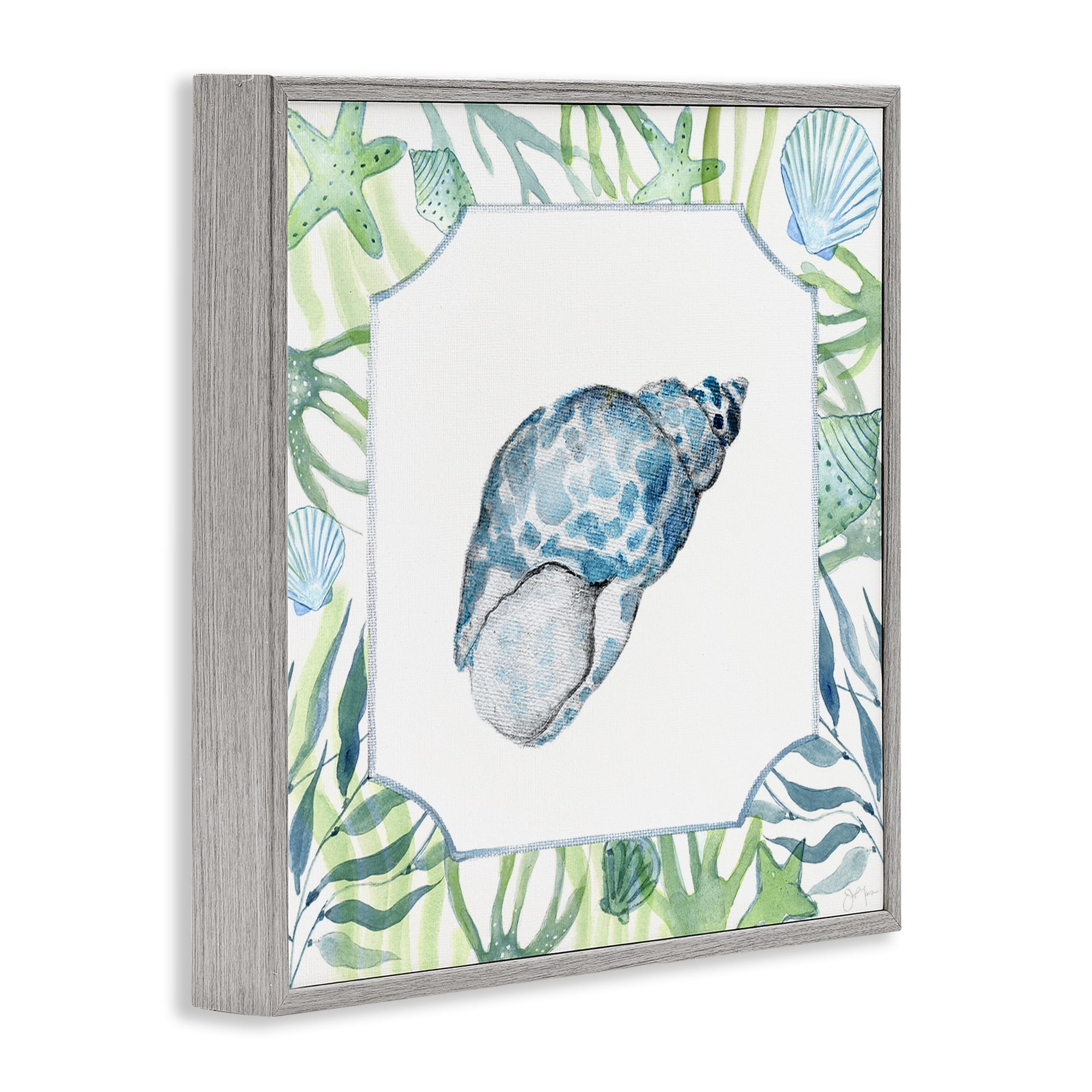 Stupell Industries Spotted Cowrie with Seaweed Gray Framed Giclee Art, design by Janet Tava