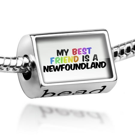 Bead My best Friend a Newfoundland Dog from Canada Charm Fits All European