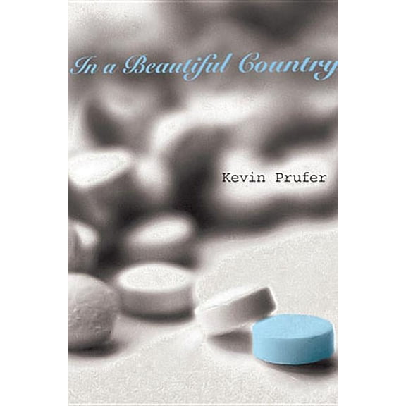 In a Beautiful Country (Paperback)