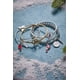 thumbnail image 5 of Pulsera Alex and Ani Strength Cardinal Duo Charm en plata, 5 of 9