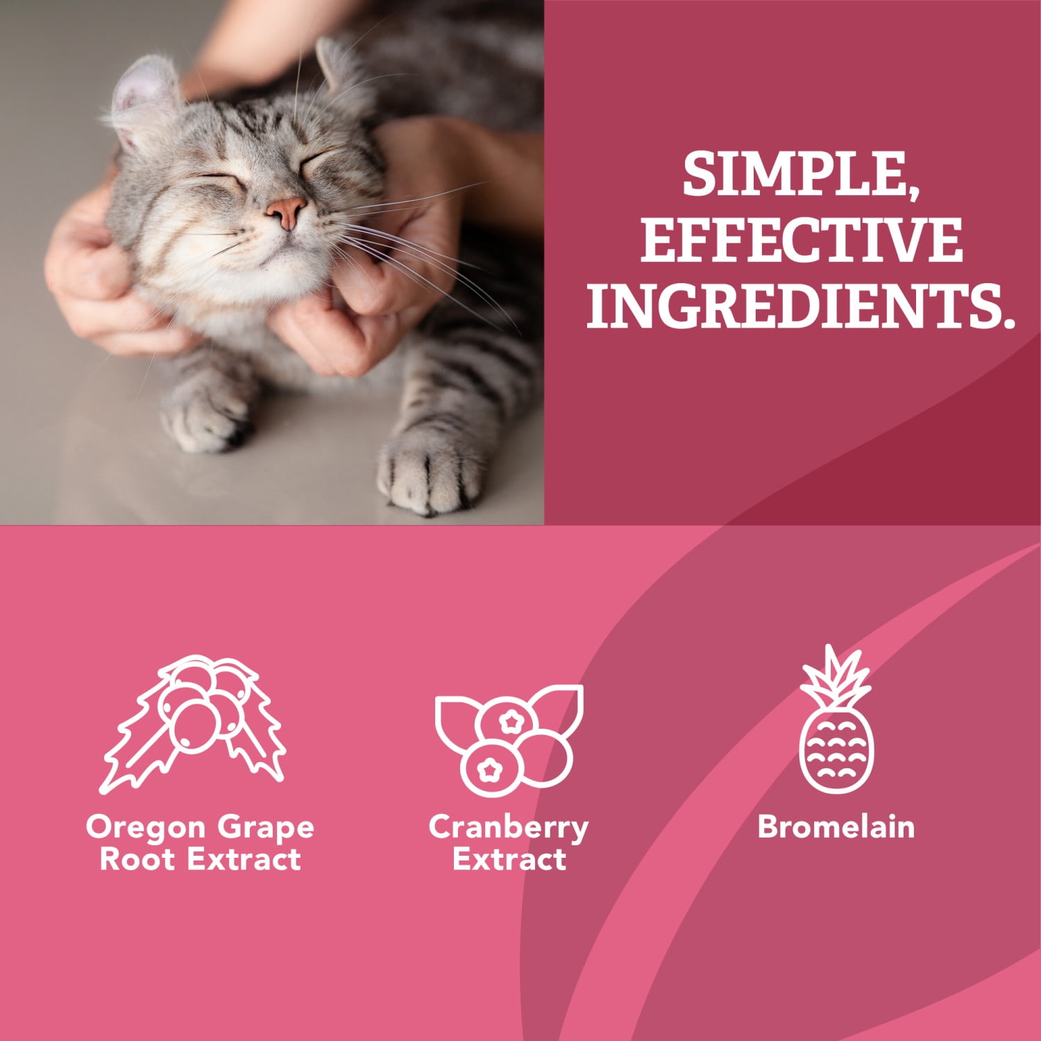 (6 pack) Natural Care Urinary Support Soft Chews for Cats, 78 Count