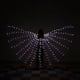 thumbnail image 1 of Alas doradas, alas luminosas LED de colores del arco iris, alas de baile, mariposa fluorescente, alas luminosas para danza del vientre, capa, 1 of 6