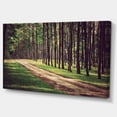 thumbnail image 2 of Vintage Style Forest with Pathway - Modern Forest Canvas Art, 2 of 4