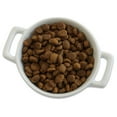 thumbnail image 2 of Merrick Grain-Free Real Chicken + Sweet Potato Recipe Dry Dog Food, 4 lb, 2 of 8