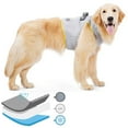 thumbnail image 3 of BESTYASH Dog Cooling Vest Con Absorción De Sudor Y Ajuste Cómodo Para Paseos Y Jogging, 3 of 8