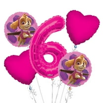 Paw Patrol Girl Balloon Bouquet 6th Birthday 5 pcs - Party Supplies