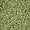 DB2309 - Frost Opaque Glaze Rainbow Olive, variant on Miyuki Delica Seed Beads – Size 11/0 (1.6 mm), DB2309, Frost Opaque Glaze Rainbow Olive, 7.2 g, Approx. 1440 Beads