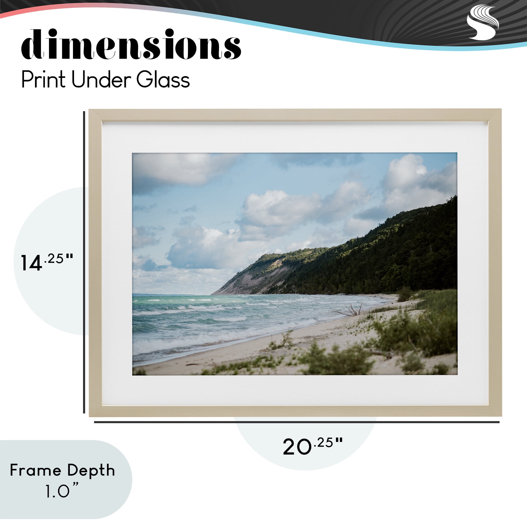 Stupell Industries Sleeping Bear Cliff Birch Framed Print Under Glass, design by Amy Carroll