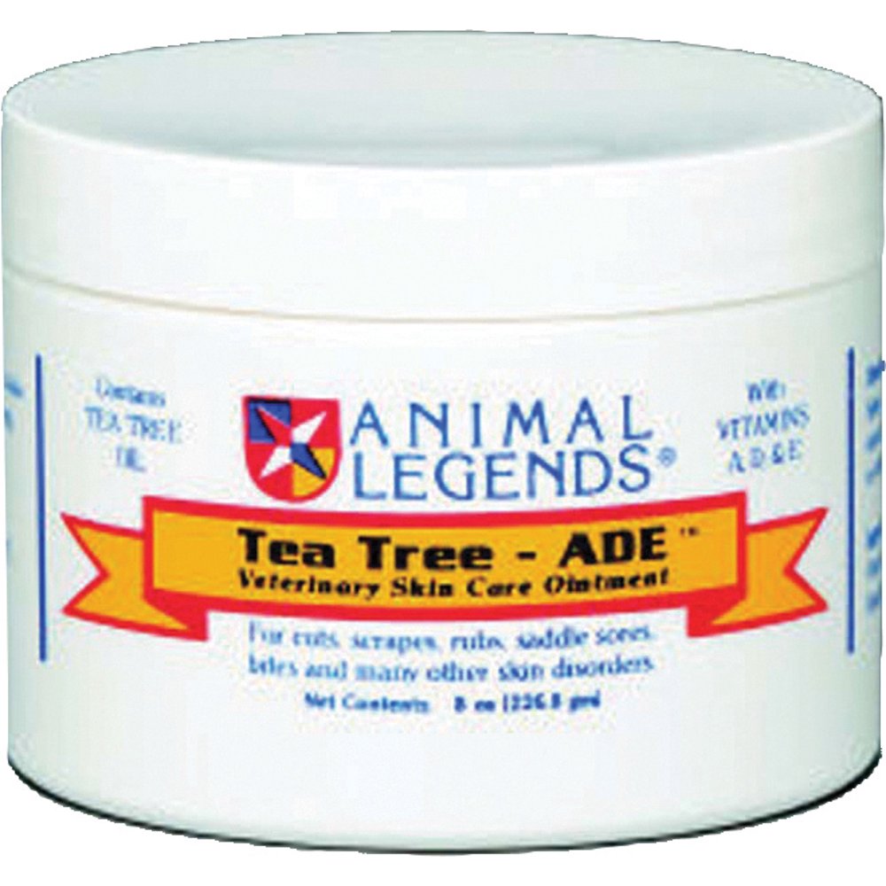 TEATREE OINTMENT 8 OZ 12