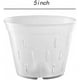 thumbnail image 3 of Transparent Orchid Pot 5-Inch - Clear Planter for Root Growth Observation, Indoor/Outdoor Planters with Drainage Holes, 3 of 4