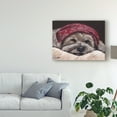 thumbnail image 3 of Trademark Fine Art 'Terrier Bandana' Canvas Art by Hippie Hound Studios, 3 of 4