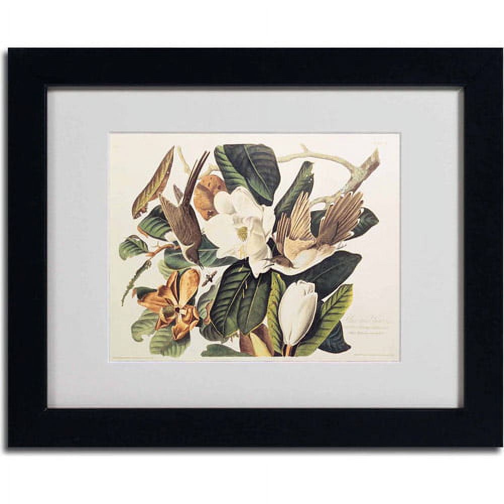 Trademark Fine Art Ornithology Matted Framed Art ' Black-Billed Cuckoo ' by John James Audubon