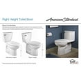 Townsend 4 Right Height Elongated Seatless Toilet Bowl with Bolt Caps