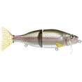 thumbnail image 5 of R2S Tactical Wake 2103.75 oz 8'' Tactical Shad, 5 of 6