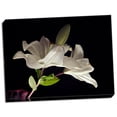 thumbnail image 2 of Gango Home Decor White Lilies II by Monika Burkhart (Ready to Hang); One 24x18in Hand-Stretched Canvas, 2 of 4
