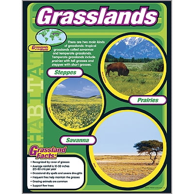 GRASSLANDS LEARNING CHART CHART