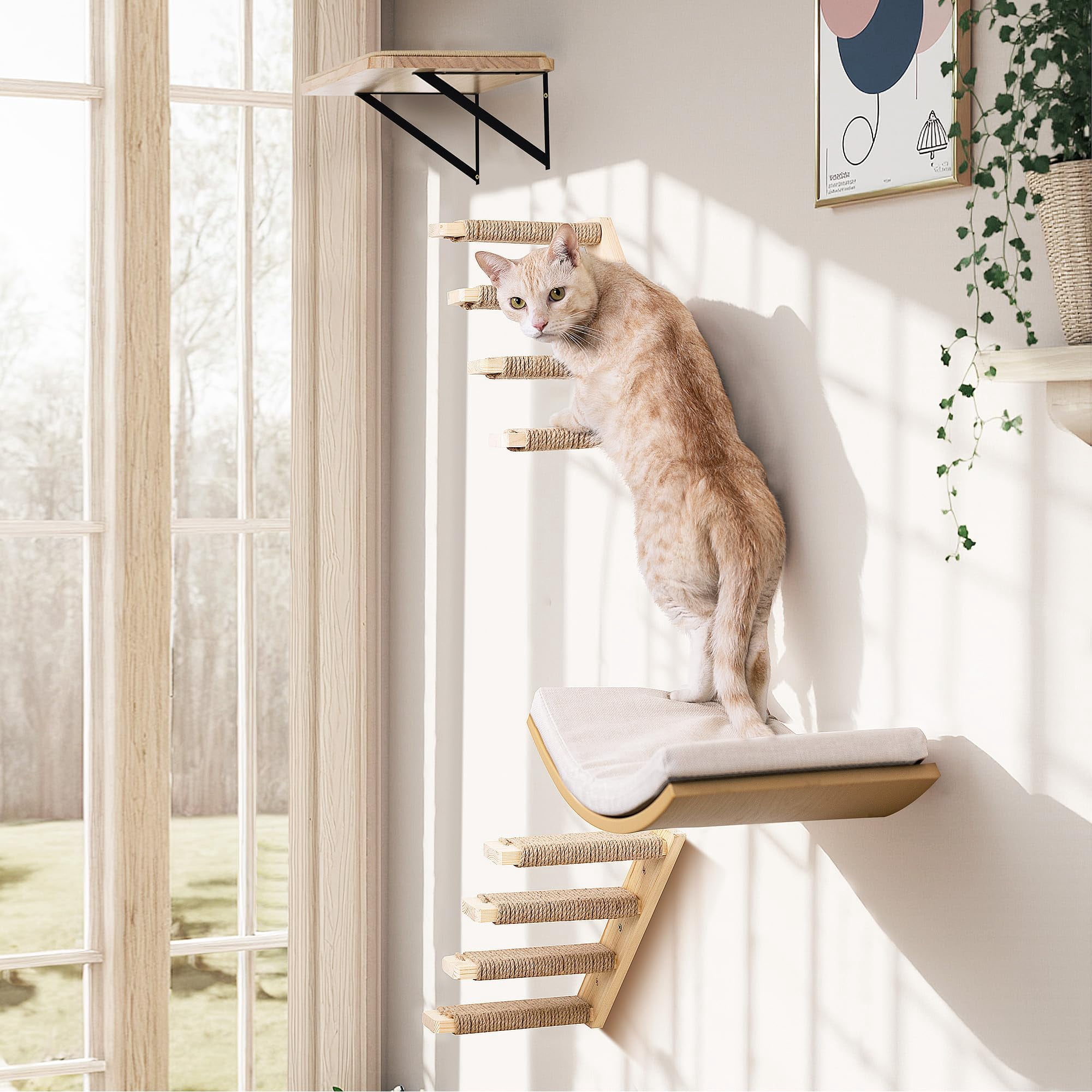 Wood Foam Curved Combo A (4 Pieces) Cat Perch Wall Mounted Furniture Set