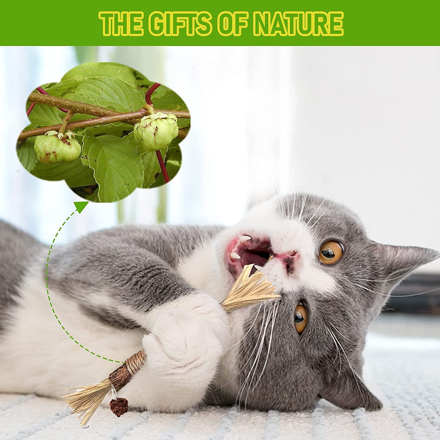 5 Pack Silvervine Cat Toy, Silvervines Sticks Cat Toys for Indoor Cats, Cat & Kitten Chew Toys for Aggressive Chewers, Cat Dental Toy for Kitten Teeth Cleaning, Matatabi Silvervine for Cats