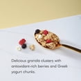 thumbnail image 4 of Nature's Path Gluten Free Mixed Berries & Yogurt 300G, Imported from Britain, 4 of 5