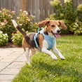 thumbnail image 4 of Vibrant Life Neoprene Comfort Control Dog Harness, Soft Blue, Medium, 4 of 9