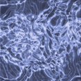 thumbnail image 1 of Ahgly Company Machine Washable Indoor Square Transitional Sky Blue Area Rugs, 6' Square, 1 of 7