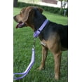 thumbnail image 2 of Country Brook Petz® Martingale Heavyduty Nylon Dog Collar and Double Handle Leash - Lavender - Extra Large, 2 of 7