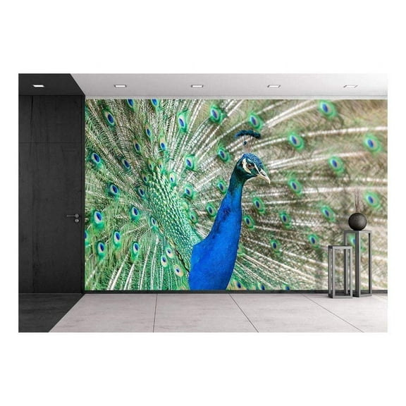 wall26 - Peacock with Feathers Out - Removable Wall Mural | Self-Adhesive Large Wallpaper - 100x144 inches