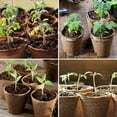 thumbnail image 5 of HOMEMAXS  40 Pcs Garden Nursery Planting Cups Gardening Container, 5 of 8