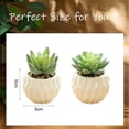 thumbnail image 2 of 2pcs artificial flower simulation succulent bonsai fashion creative small ornaments artificial flower simulation green plants - type:style3;, 2 of 5