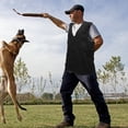 thumbnail image 4 of unbranded Ropa De Perro Pet Trainer Vest Breathable Professional Black 1Pack, 4 of 8