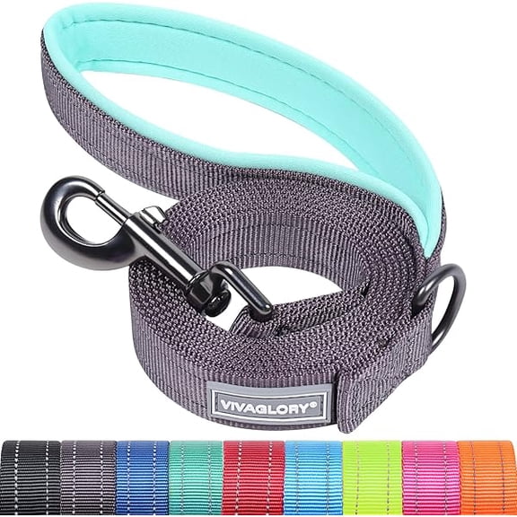 Eryueer Dailyx Dog Lead, Dog Leash for Training & Walking with Soft Padded Handle, Heavy Duty & Double Layer Nylon for Pet Puppy, 90 x 2.5cm, Grey