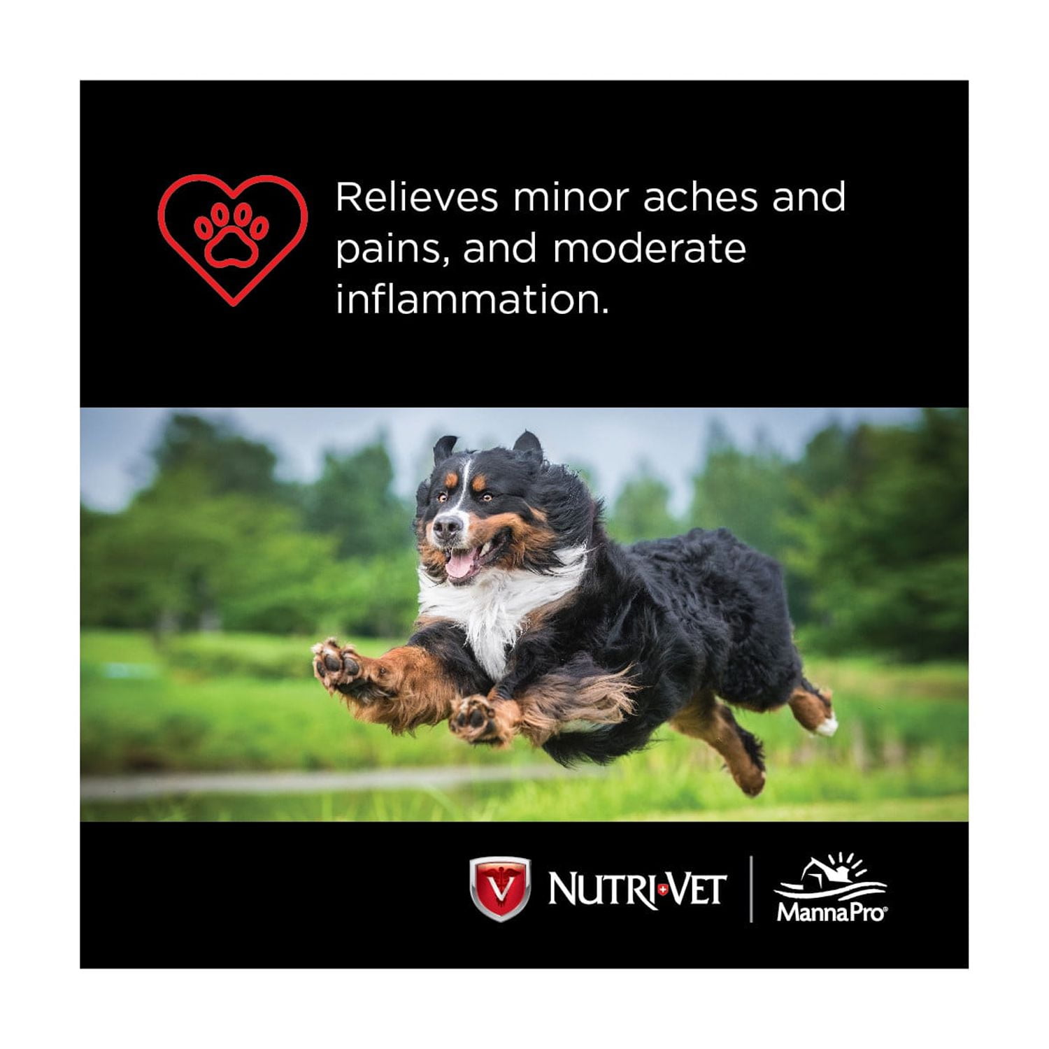 Nutri-Vet Aspirin for Dogs - Medium to Large Dogs - 300mg - 75 count