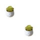 thumbnail image 2 of Yuarrent Simulación suculenta artificial Bonsai Flor falsa Paisaje en maceta Type2 NO2, 2 of 6