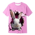 thumbnail image 3 of Gzbliryd Boys Easter Shirt Funny Bunny Graphic Tee Short Sleeve Short Sleeve Cotton Tee Tops for Teen Girls Soft and Breathable Summer Dailywear Clothing (Pink,3-4 Years), 3 of 3